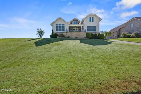 Photo of 225 Forest Lane N Ln, Blountville, TN 37617 (MLS # 9991750)