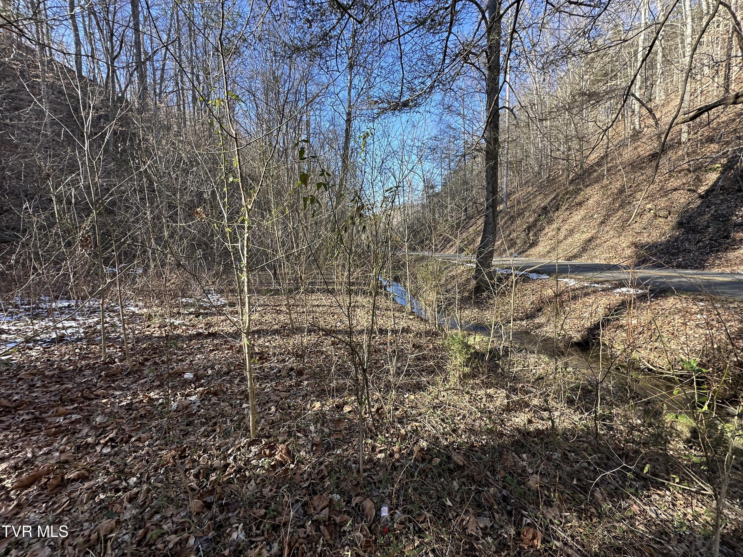 3713 Manville Rd Road, Gate City, Virginia image 10