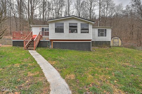 Homes For Sale - 190 Cactus Drive<br/> Jonesville, VA 24263