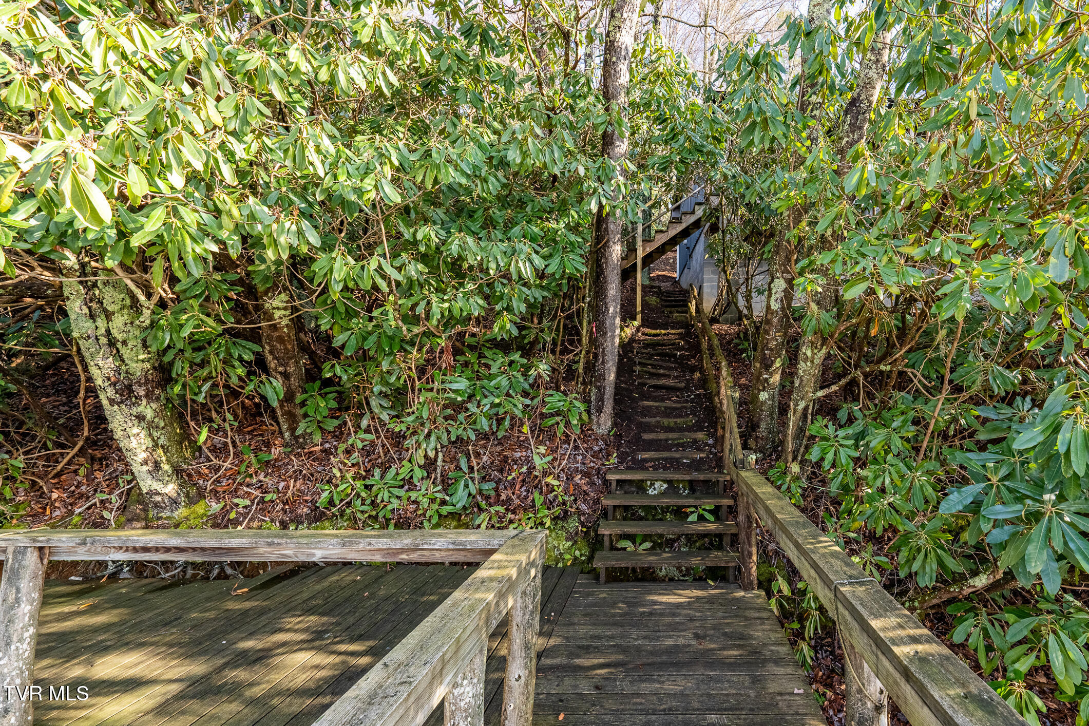 144 Ripshin Lake Road, Roan Mountain, Tennessee image 34