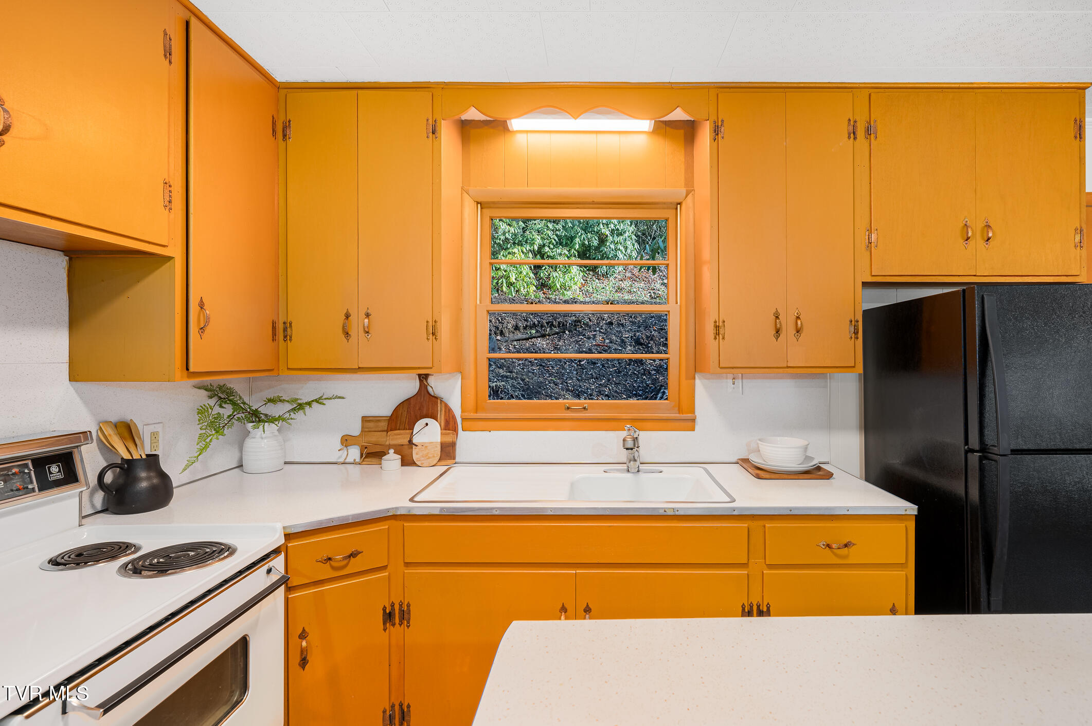144 Ripshin Lake Road, Roan Mountain, Tennessee image 14