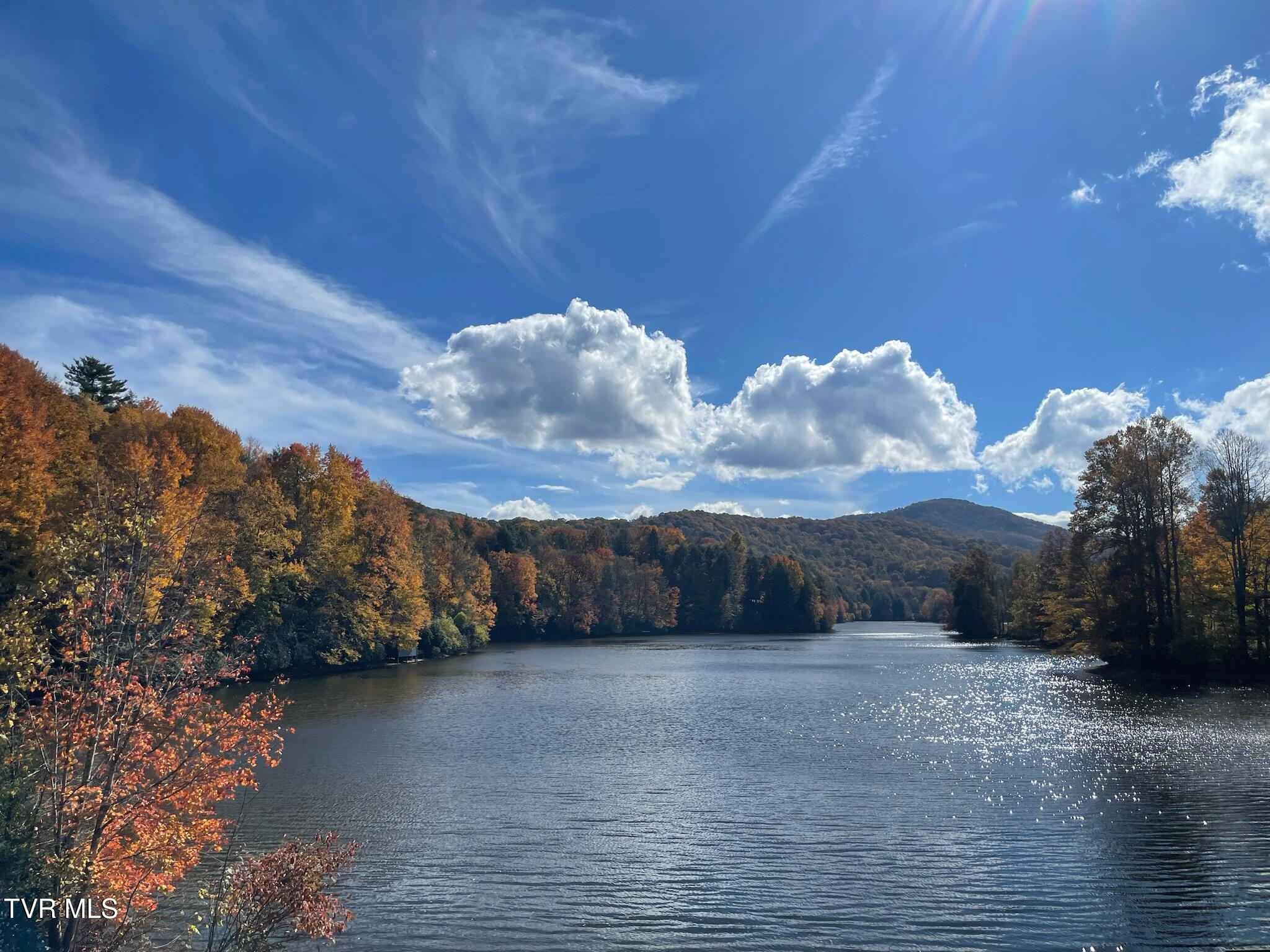 144 Ripshin Lake Road, Roan Mountain, Tennessee image 1