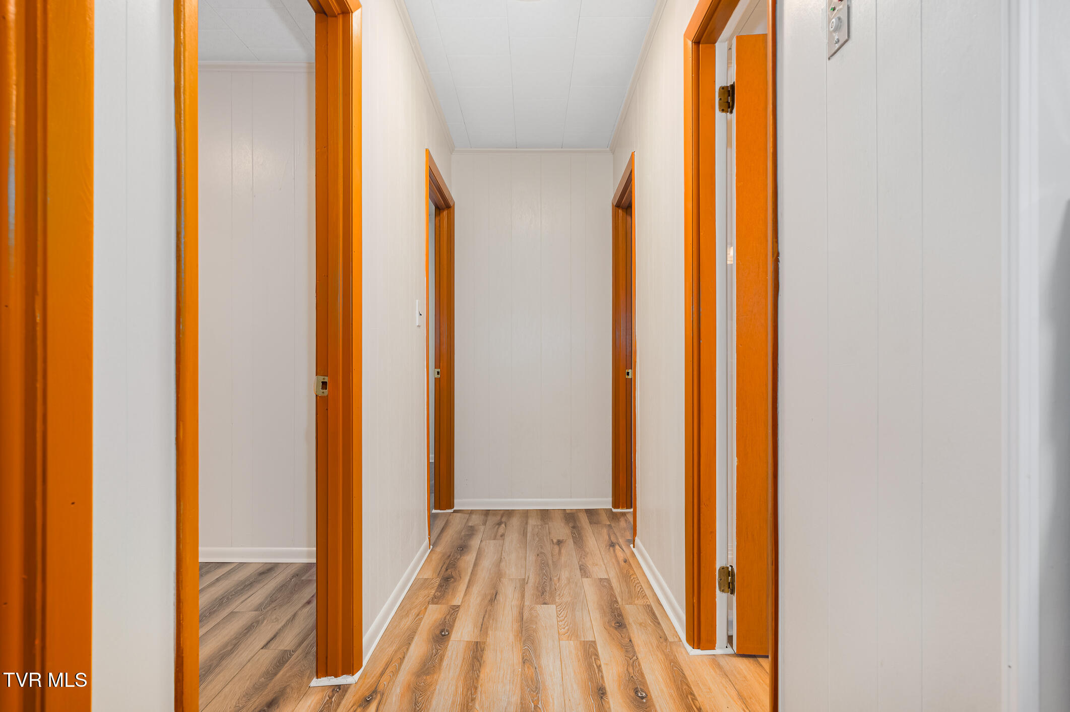 144 Ripshin Lake Road, Roan Mountain, Tennessee image 17