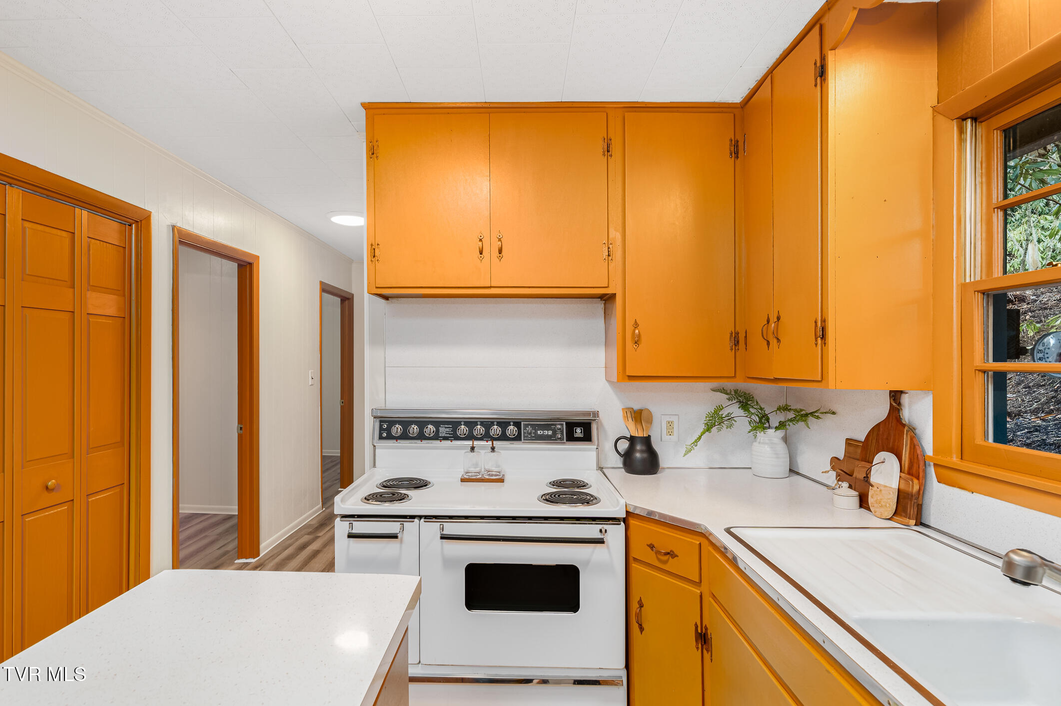 144 Ripshin Lake Road, Roan Mountain, Tennessee image 15