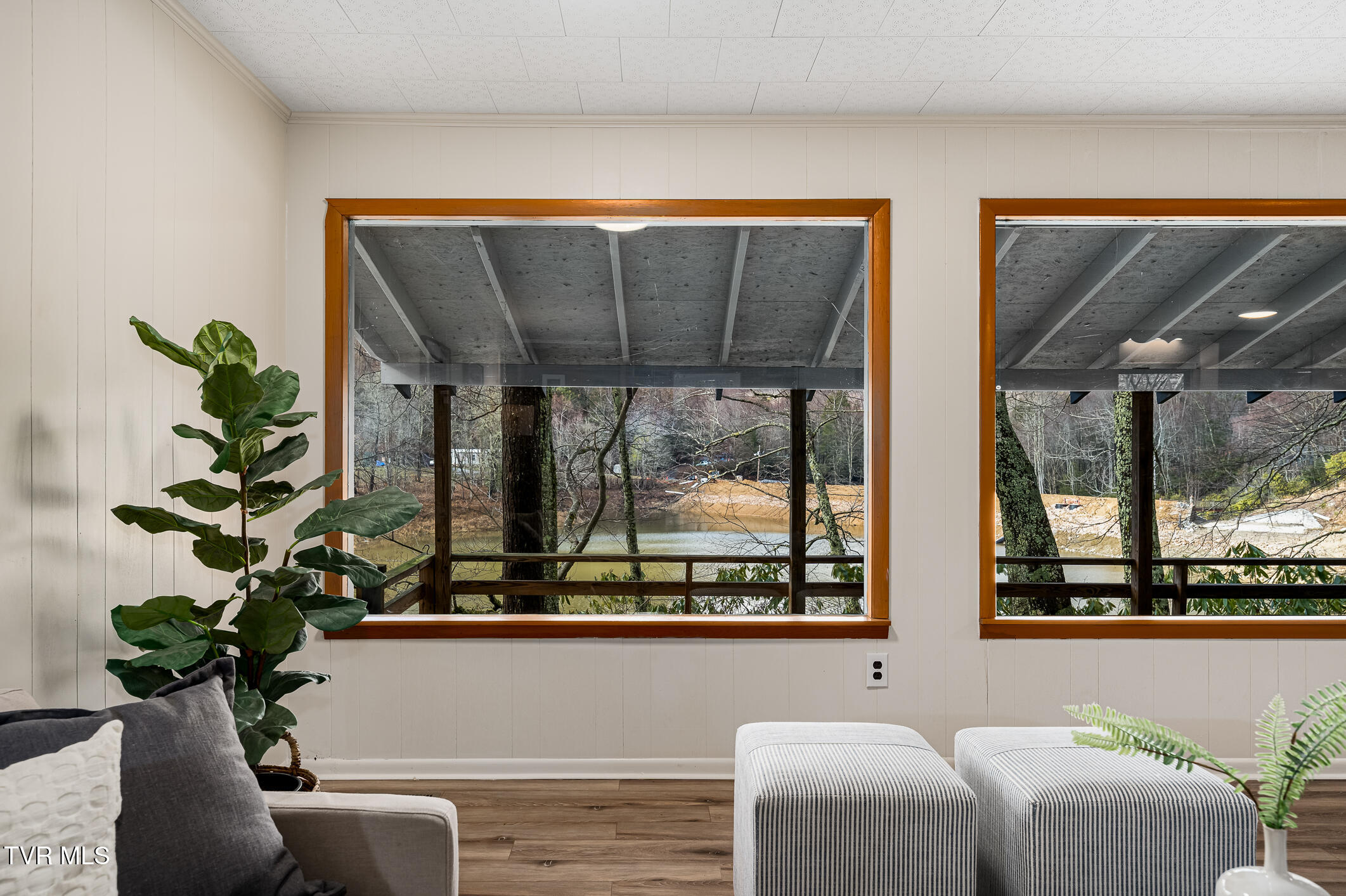 144 Ripshin Lake Road, Roan Mountain, Tennessee image 10