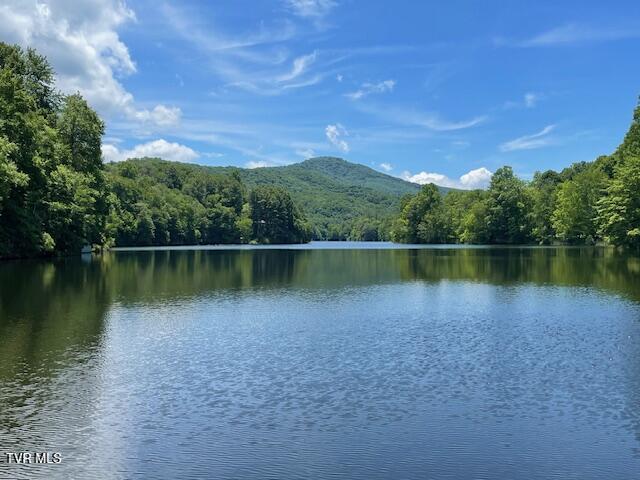 144 Ripshin Lake Road, Roan Mountain, Tennessee image 3