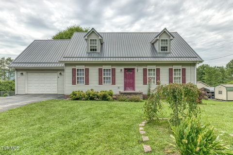 Photo of 807 Mohawk Drive, Erwin, TN 37650 (MLS # 9997899)