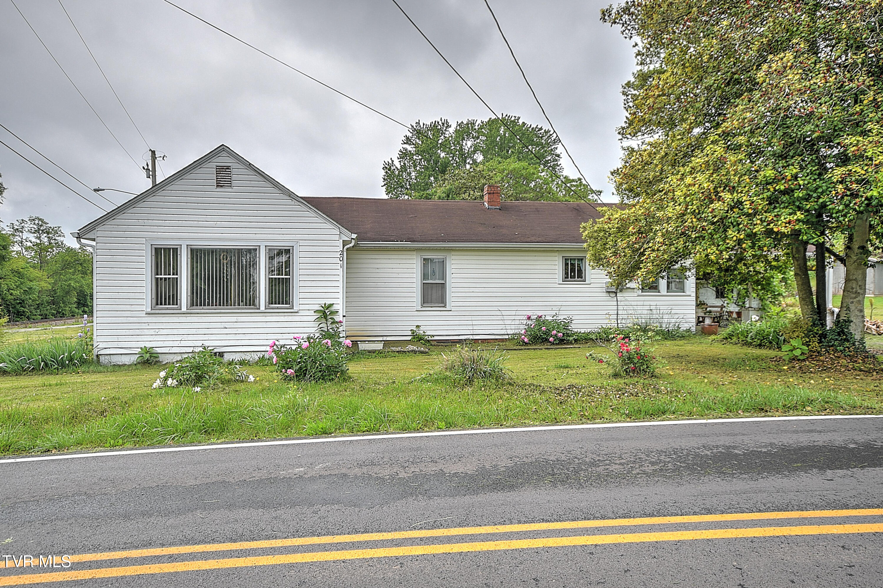 201 Dover Avenue, Mount Carmel, Tennessee image 1