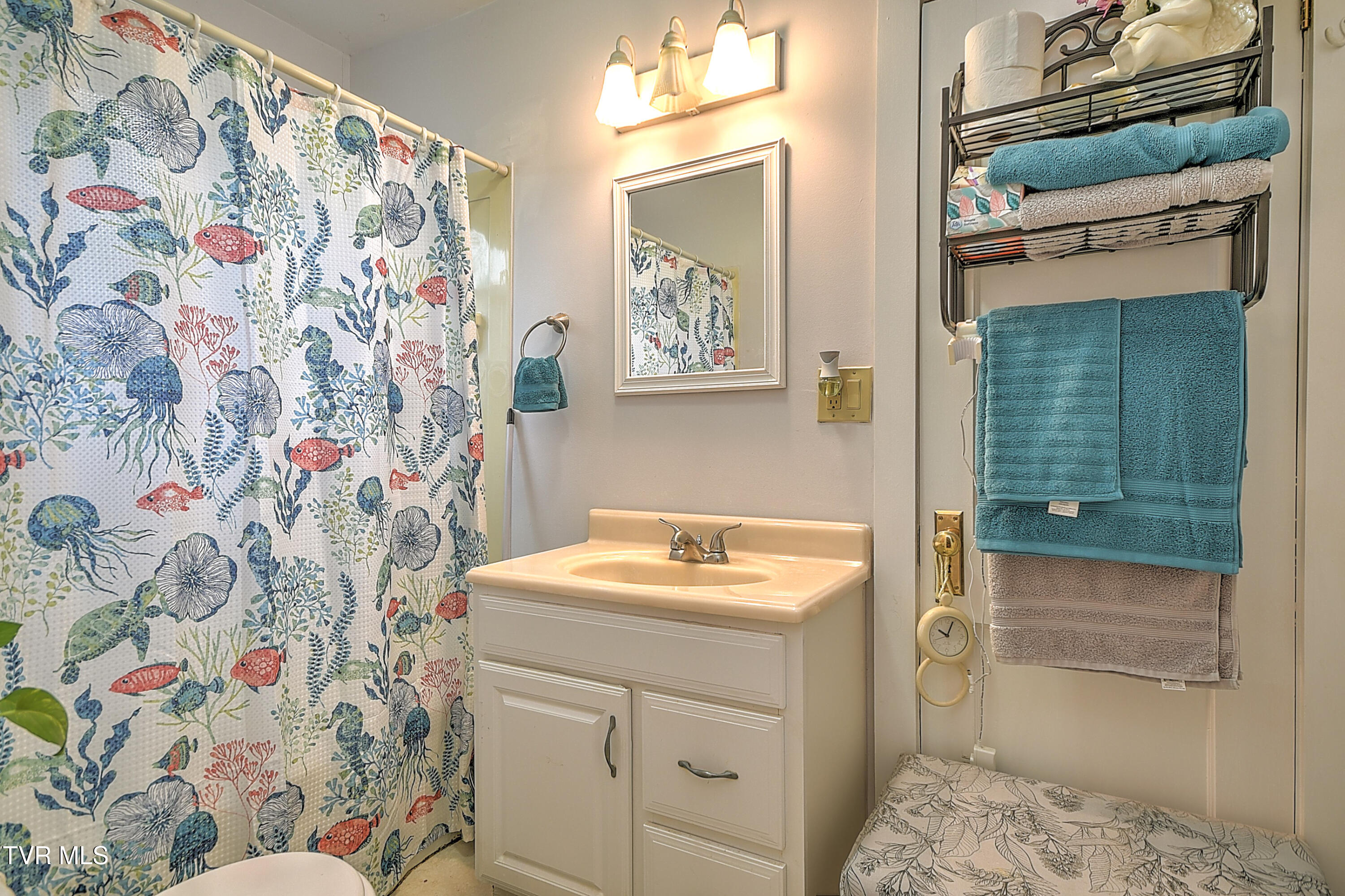 201 Dover Avenue, Mount Carmel, Tennessee image 36