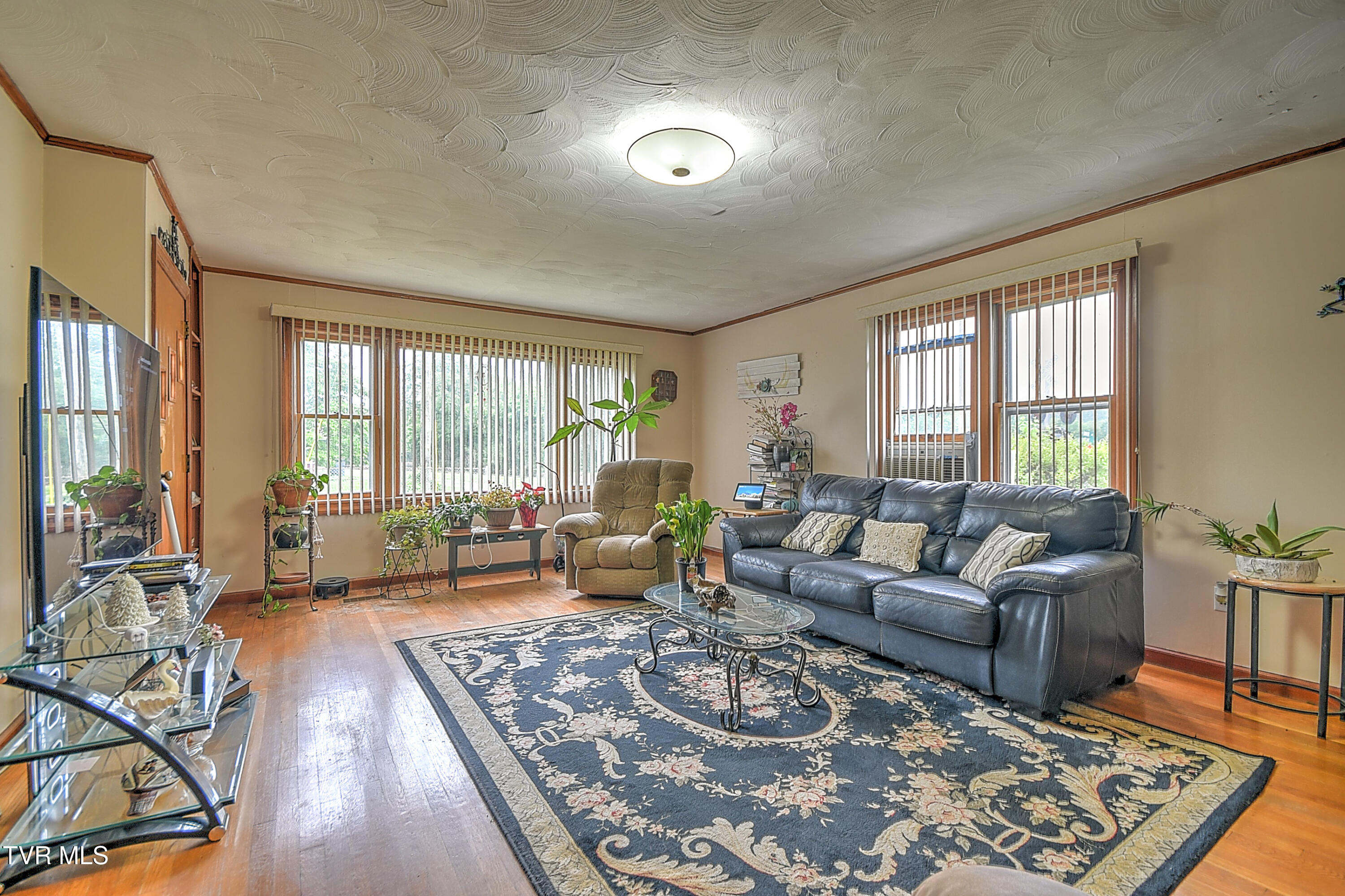 201 Dover Avenue, Mount Carmel, Tennessee image 21