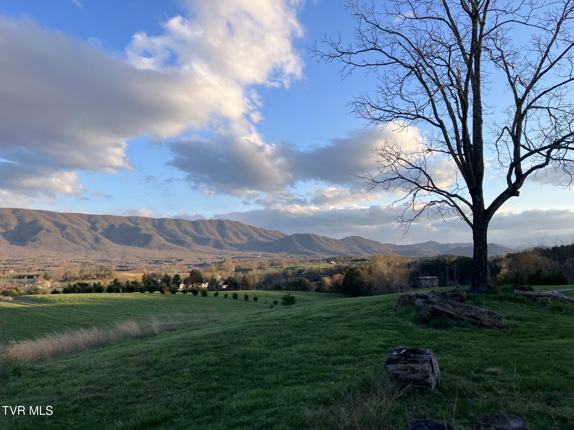 70 Camp Creek Road, Greeneville, Tennessee image 16