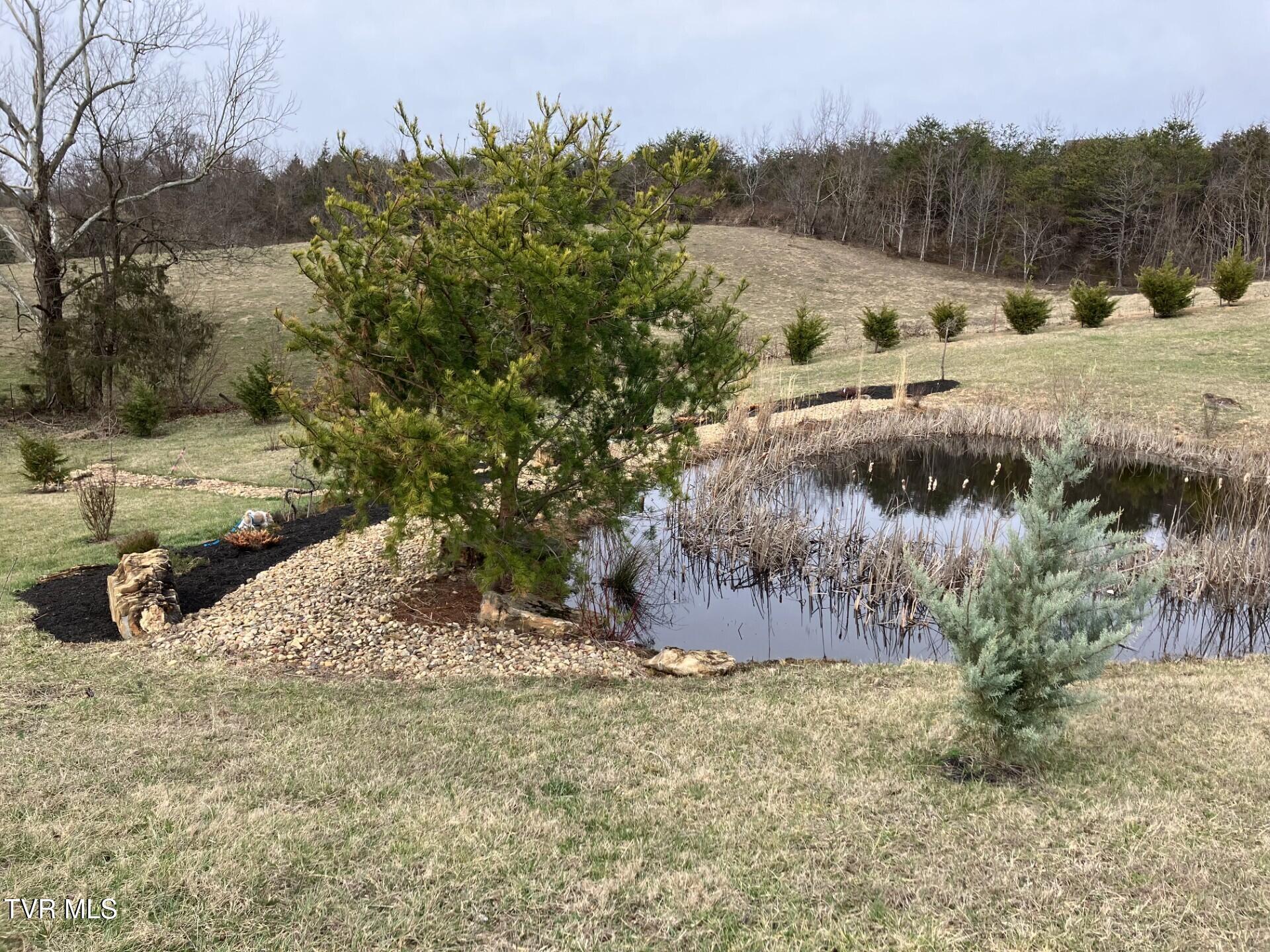 70 Camp Creek Road, Greeneville, Tennessee image 11