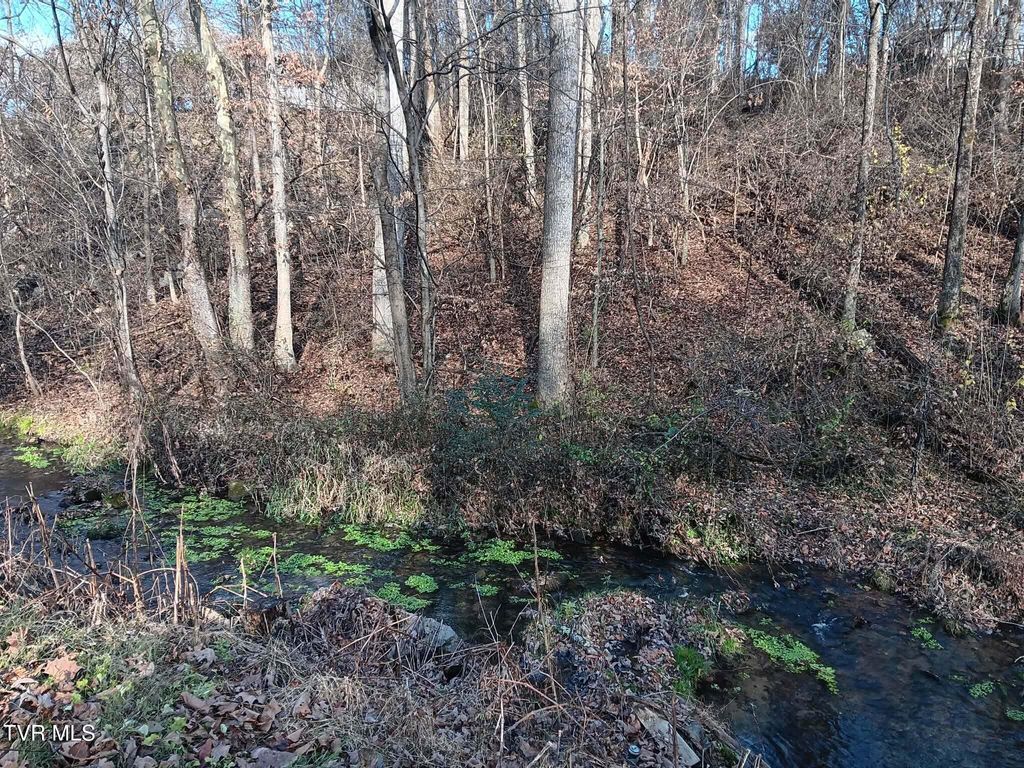 Photo of 000 Independence Ave, Mount Carmel, TN 37645 (MLS # 9989188)