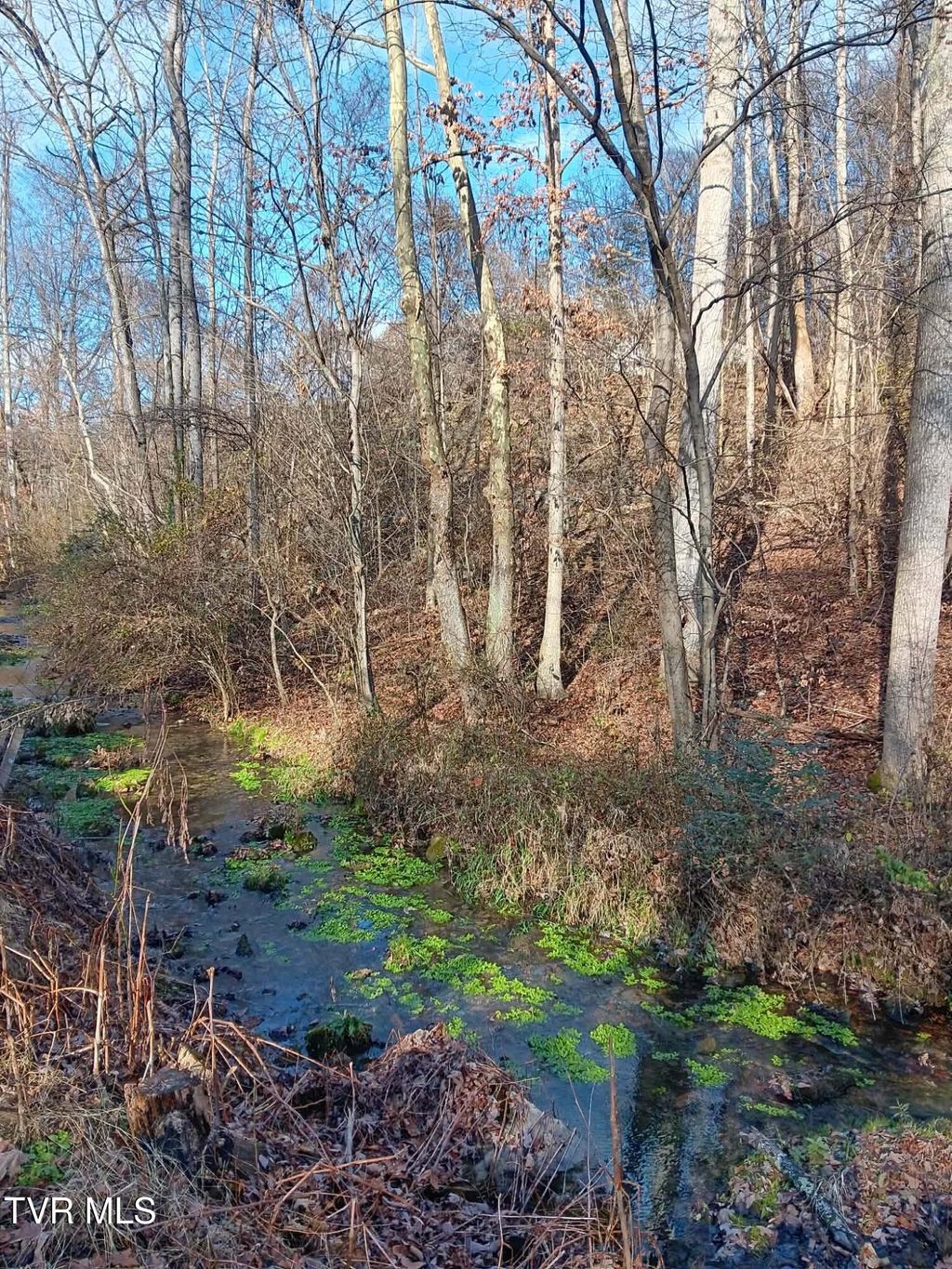 Photo of 000 Independence Ave, Mount Carmel, TN 37645 (MLS # 9989188)