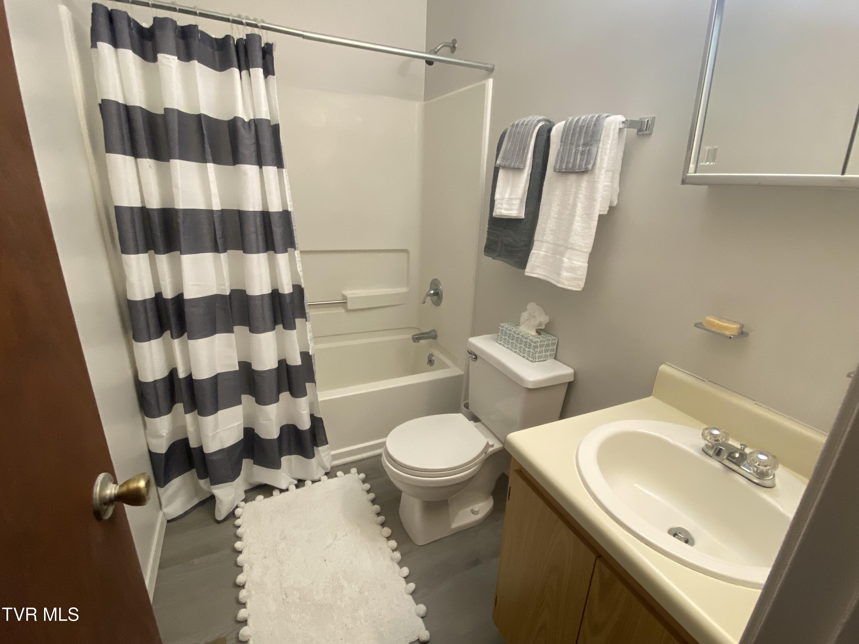 202 Locust Street, Greeneville, Tennessee image 11