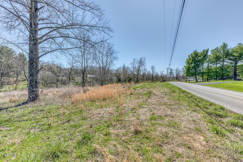 Photo of 145 Claude Simmons Road, Johnson City, TN 37604 (MLS # 9992867)