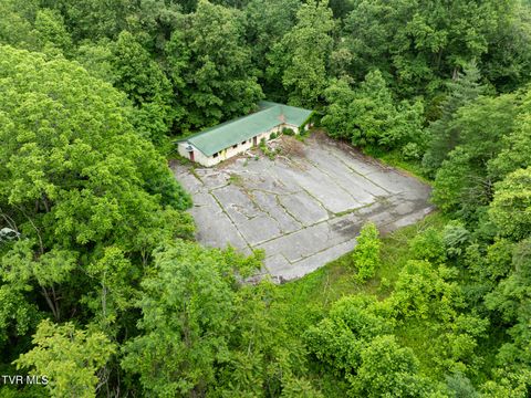 Vacant Land For Sale - 231 Vfw Trail<br/> Pennington Gap, VA 24277