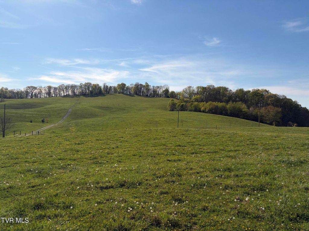 Photo of 2 Washington College Road, Limestone, TN 37681 (MLS # 9993778)