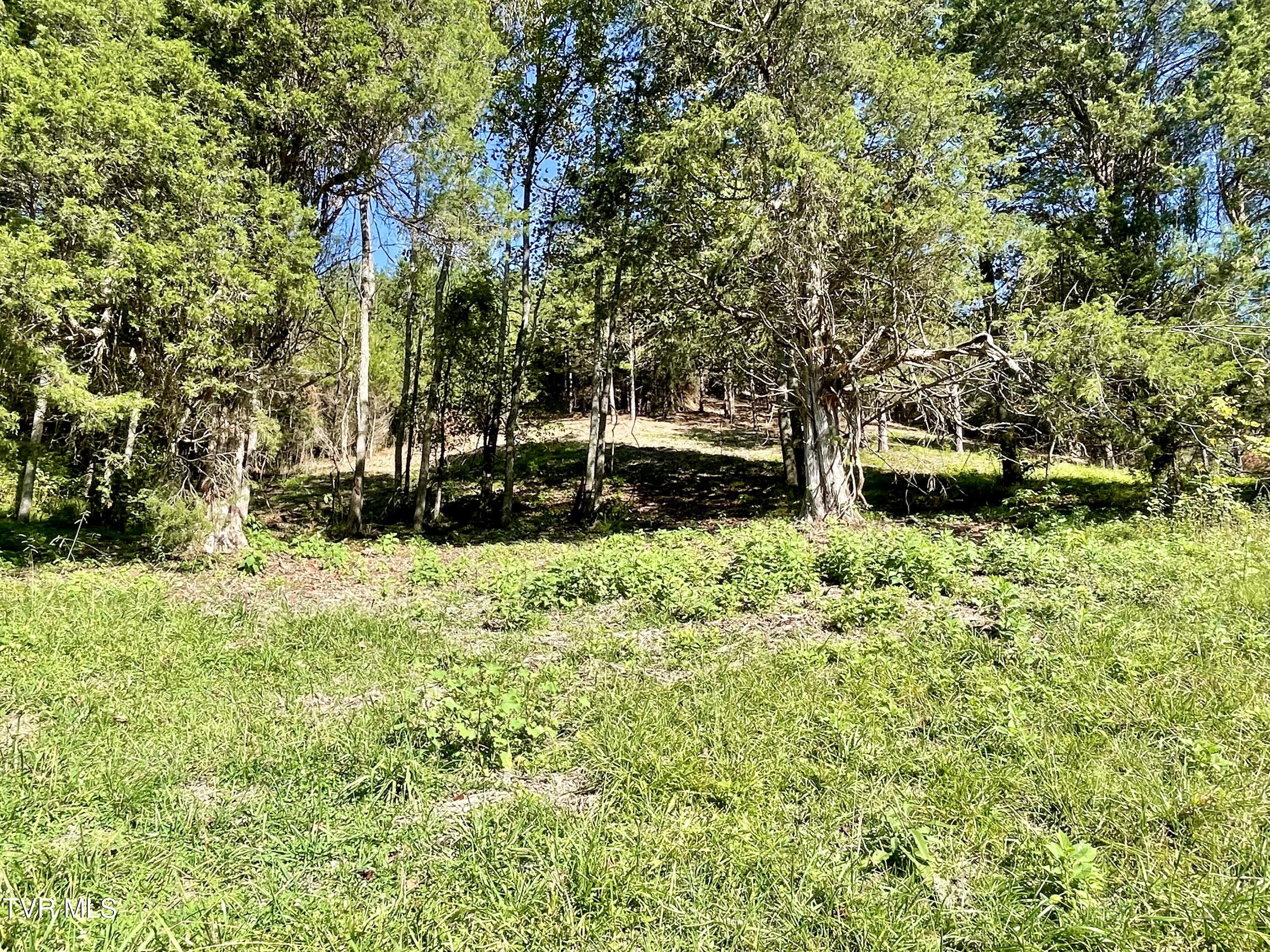 2720 Goshen Valley Road, Church Hill, Tennessee image 33