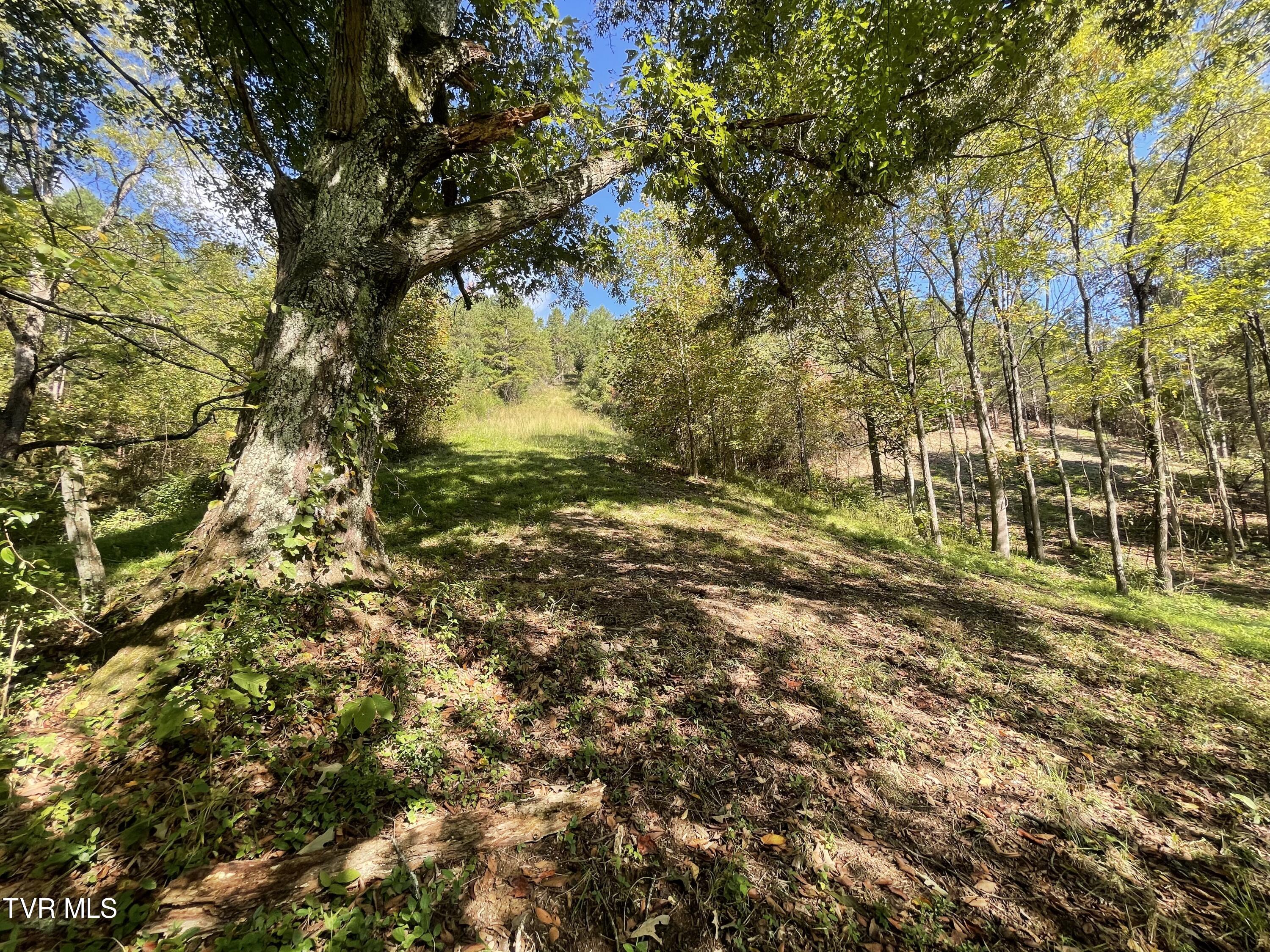 2720 Goshen Valley Road, Church Hill, Tennessee image 36