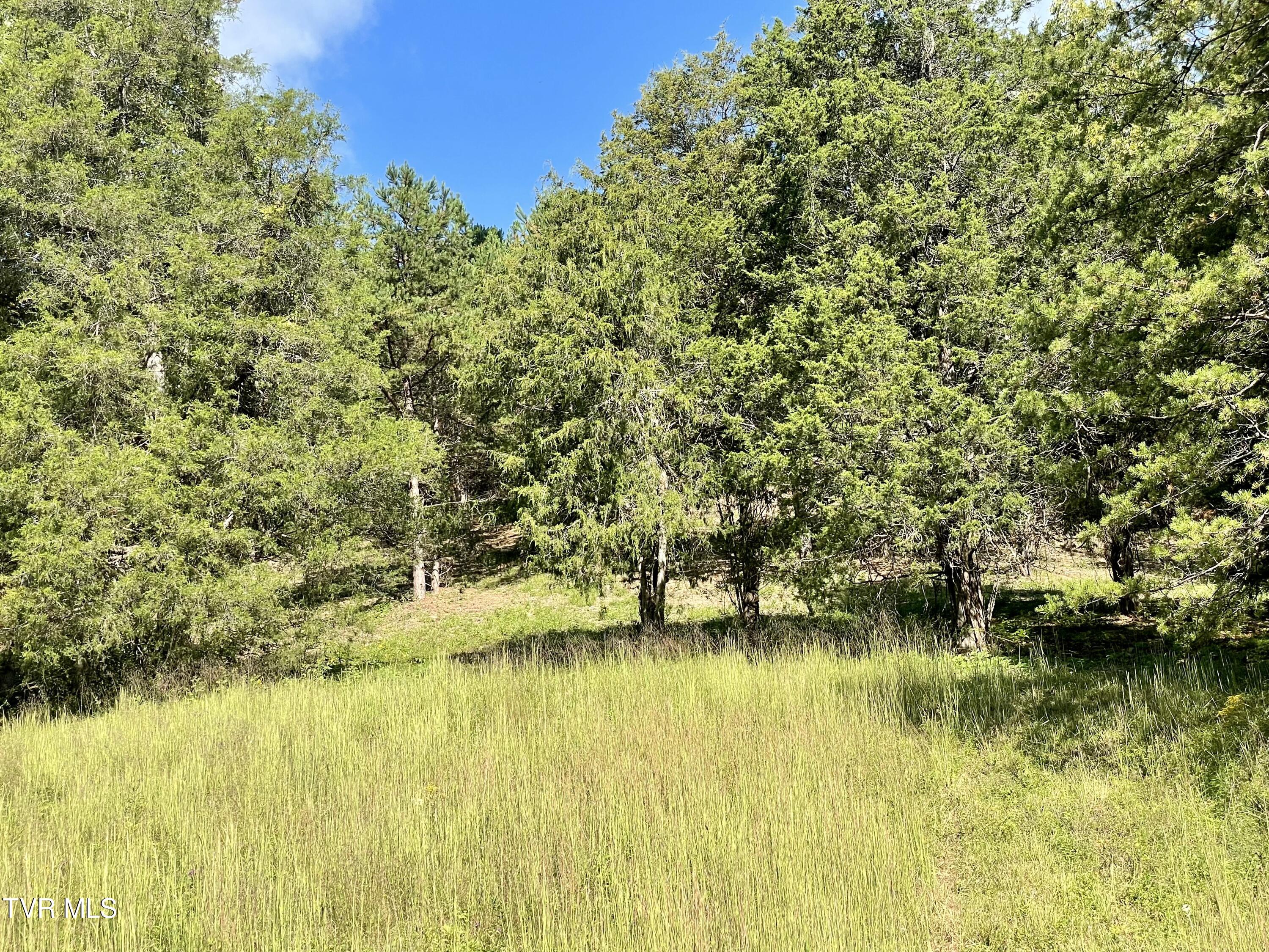 2720 Goshen Valley Road, Church Hill, Tennessee image 30
