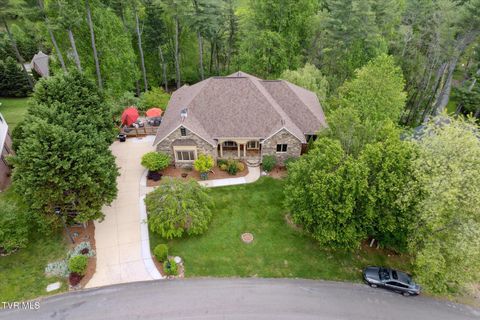 Tiny photo for 20268 Heron Circle, Abingdon, VA 24211 (MLS # 9978765)