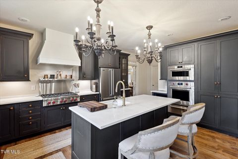 Tiny photo for 20268 Heron Circle, Abingdon, VA 24211 (MLS # 9978765)