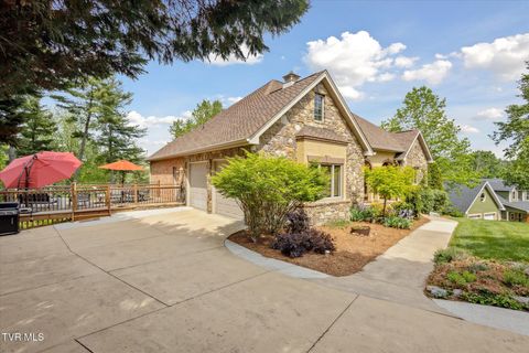 Tiny photo for 20268 Heron Circle, Abingdon, VA 24211 (MLS # 9978765)