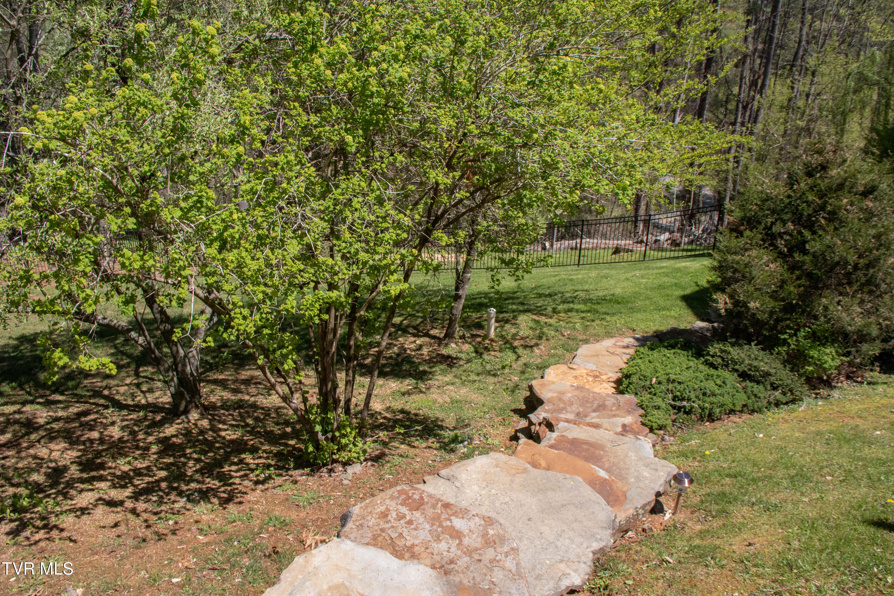 20268 Heron Circle, Abingdon, Virginia image 49
