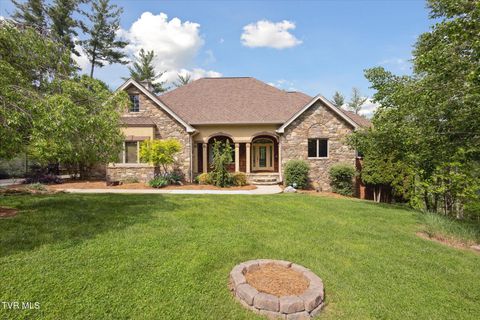 Tiny photo for 20268 Heron Circle, Abingdon, VA 24211 (MLS # 9978765)