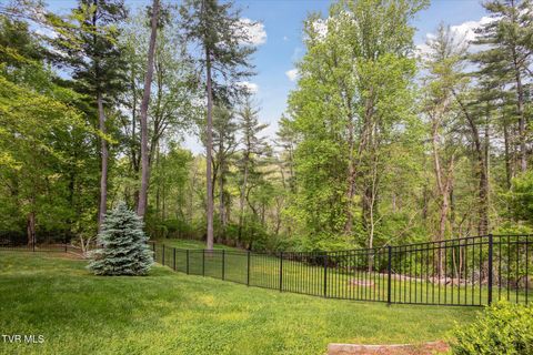 Tiny photo for 20268 Heron Circle, Abingdon, VA 24211 (MLS # 9978765)