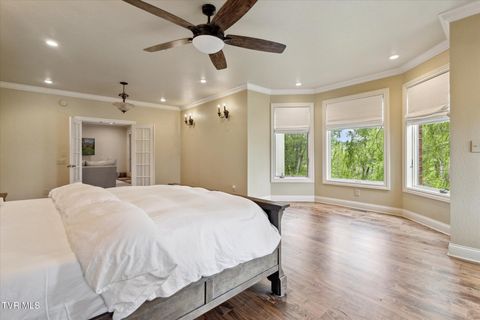 Tiny photo for 20268 Heron Circle, Abingdon, VA 24211 (MLS # 9978765)
