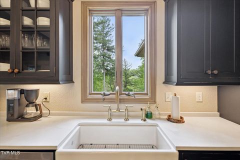 Tiny photo for 20268 Heron Circle, Abingdon, VA 24211 (MLS # 9978765)