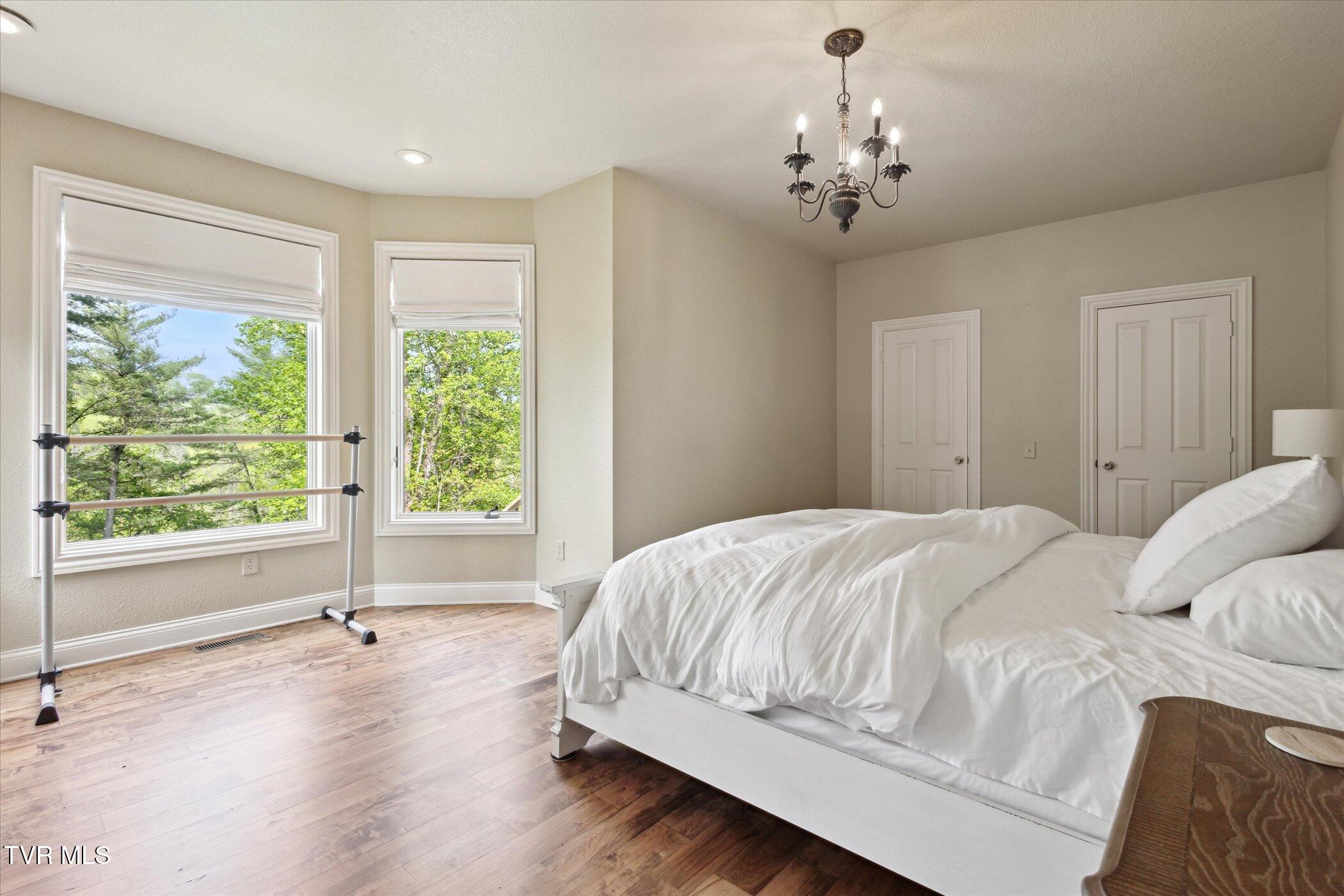 20268 Heron Circle, Abingdon, Virginia image 35