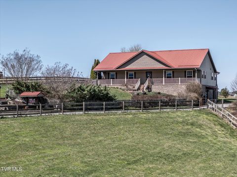 Photo of 1151 John Bird Road, Afton, TN 37616 (MLS # 9992628)