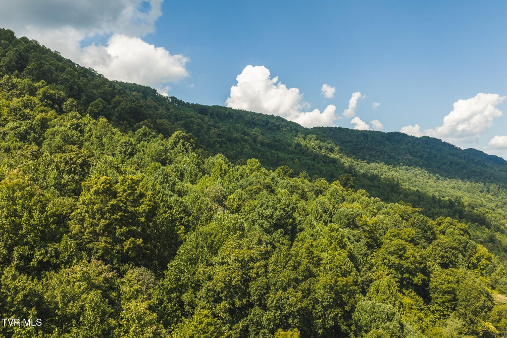 Photo of 89608 Watson Hollow, Speedwell, TN 37870 (MLS # 10000661)