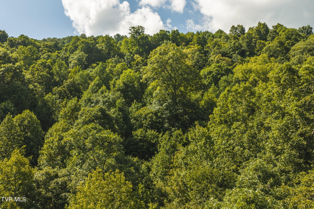 Photo of 89608 Watson Hollow, Speedwell, TN 37870 (MLS # 10000661)