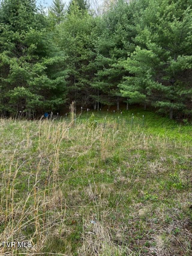 152 Blue Grass Road, Roan Mountain, Tennessee image 19