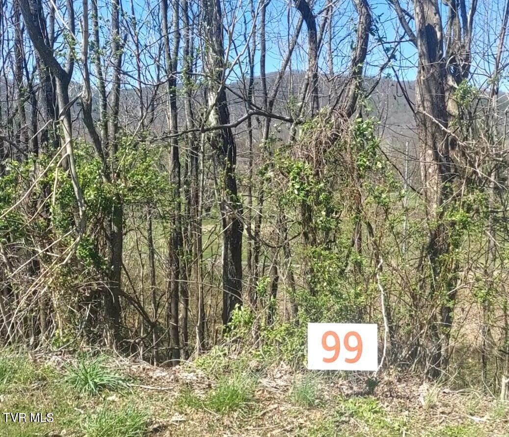 Lot 99 Country Club Drive, Unicoi, Tennessee image 1