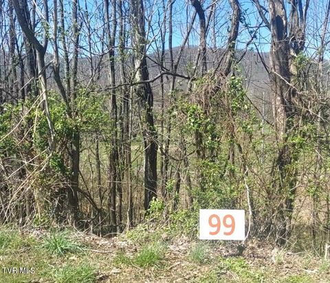 Vacant Land For Sale - LOT 99 Country Club Drive<br/> Unicoi County, Unicoi, TN 37692