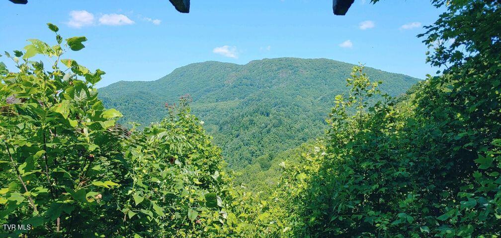 174 Doty Road, Roan Mountain, Tennessee image 1