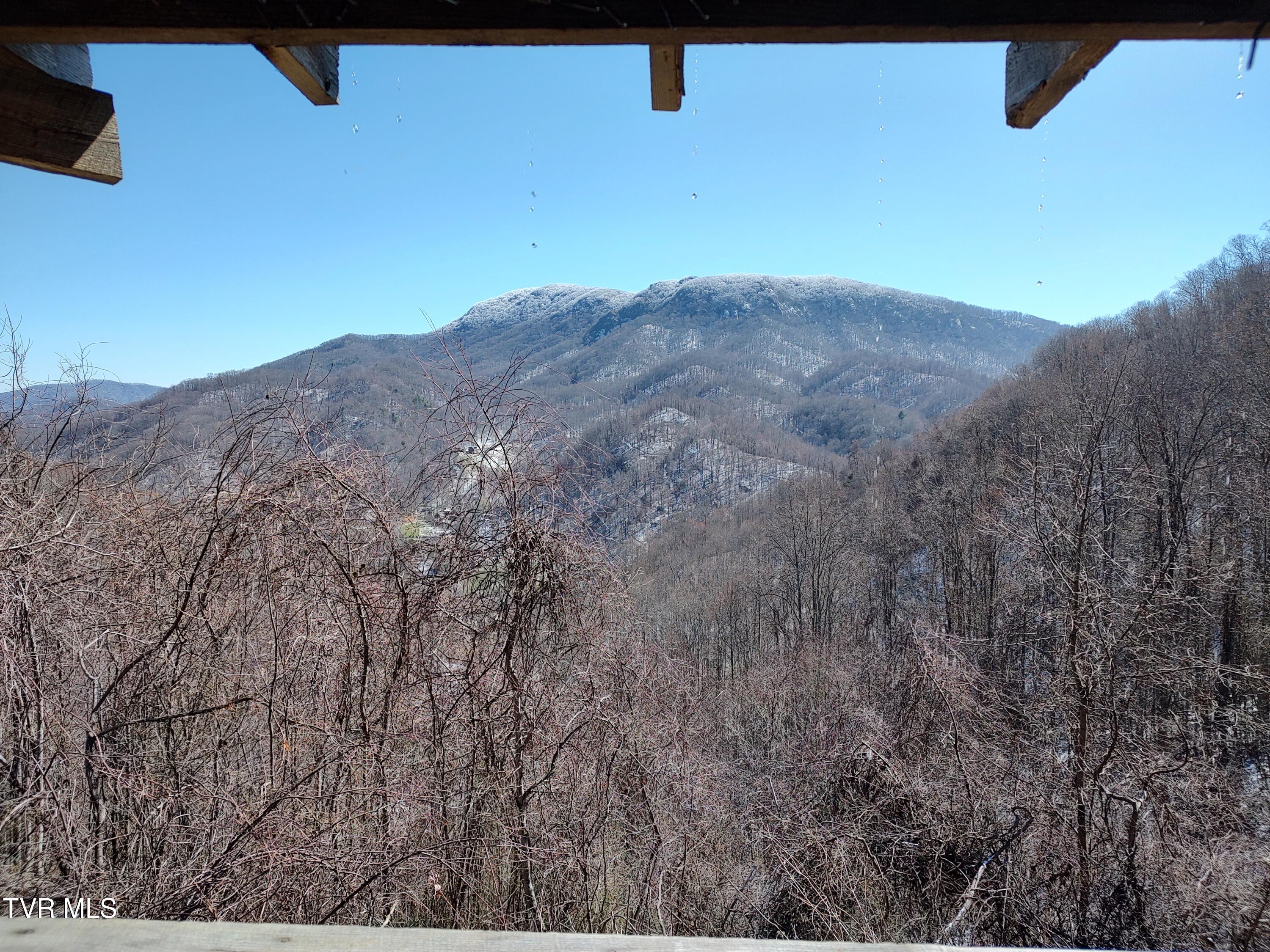 174 Doty Road, Roan Mountain, Tennessee image 5