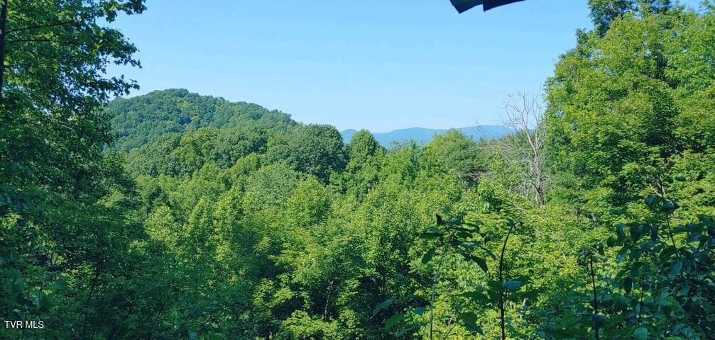 174 Doty Road, Roan Mountain, Tennessee image 2