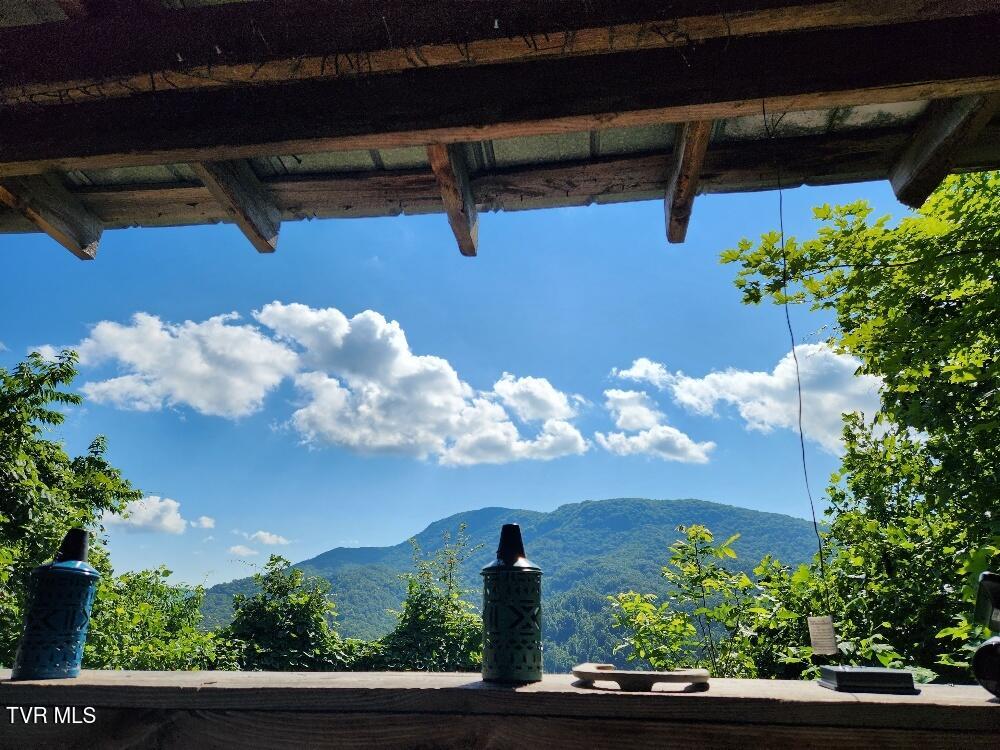 174 Doty Road, Roan Mountain, Tennessee image 19