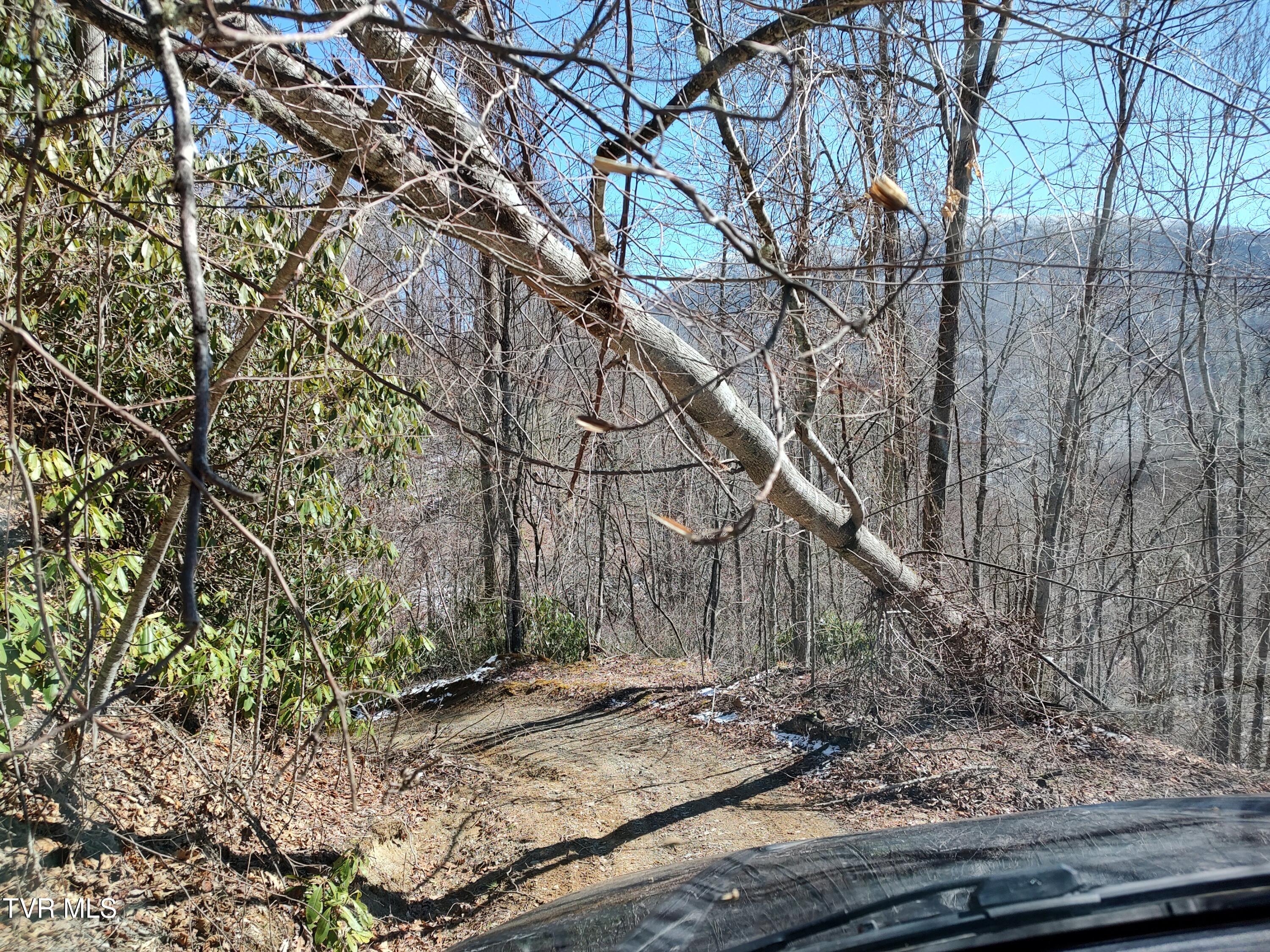 174 Doty Road, Roan Mountain, Tennessee image 9