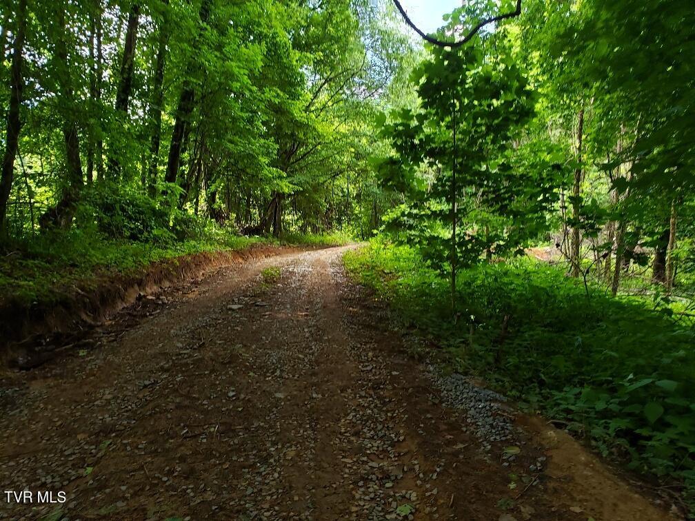 174 Doty Road, Roan Mountain, Tennessee image 14