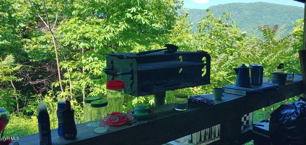 174 Doty Road, Roan Mountain, Tennessee image 4