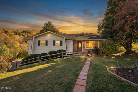 Photo of 289 Brookside Lane, Bluff City, TN 37618 (MLS # 9989644)