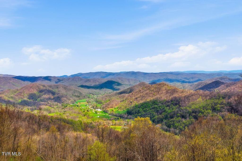 Photo of 195 Log Cabin Lane, Roan Mountain, TN 37687 (MLS # 9993998)