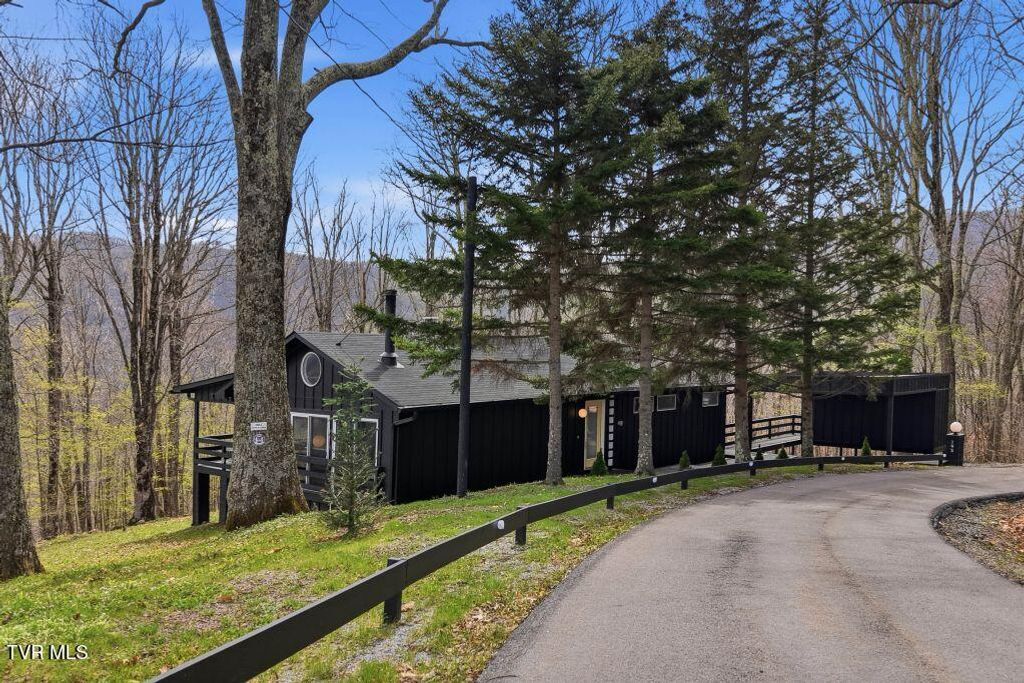 Photo of 195 Log Cabin Lane, Roan Mountain, TN 37687 (MLS # 9993998)